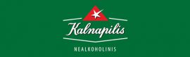 Kalnapilis